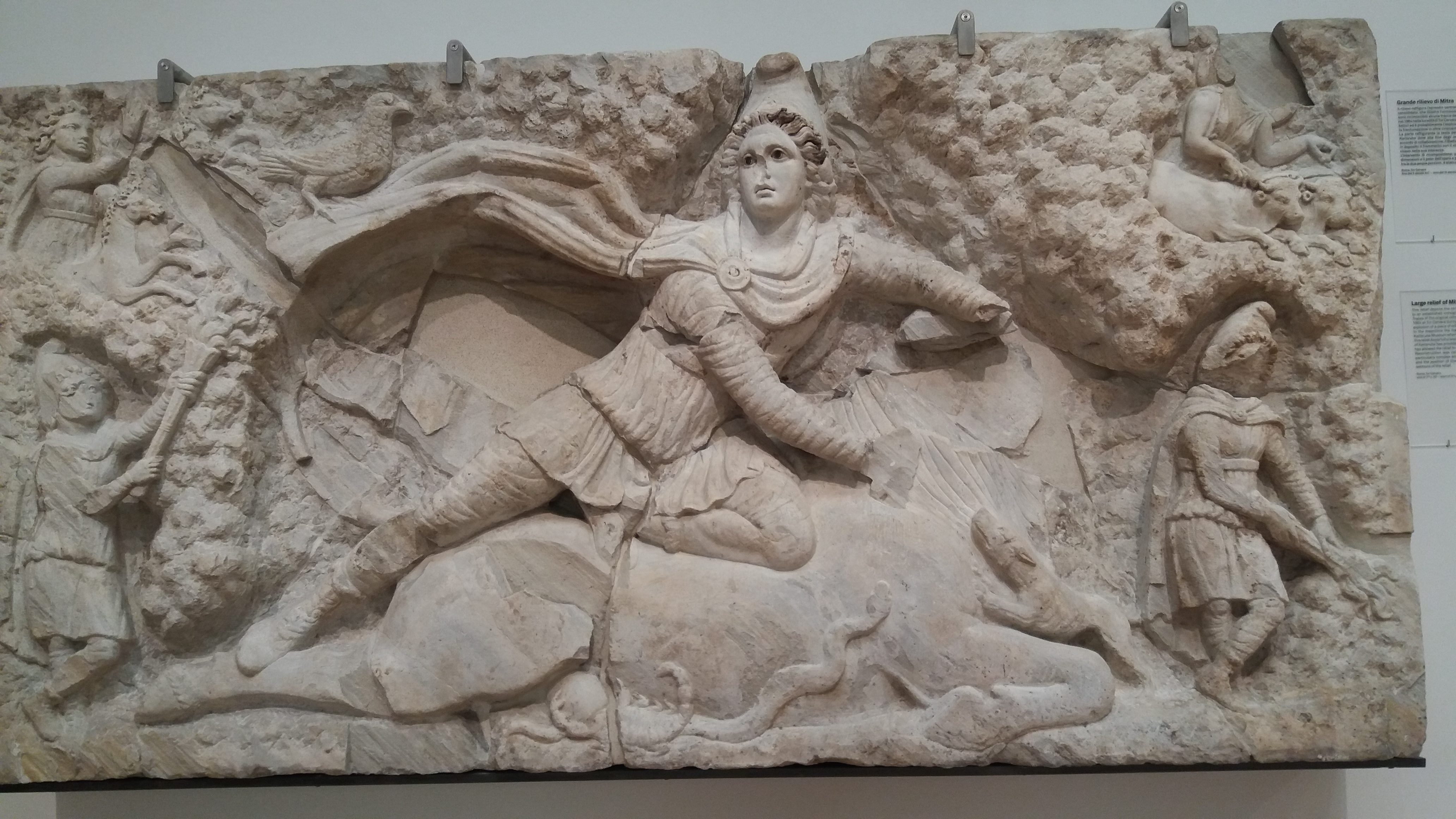 Foto 7: Mithrase härjatappu kujutav skulptuur. Rooma Rahvusmuuseum (foto: Jaan Lahe)